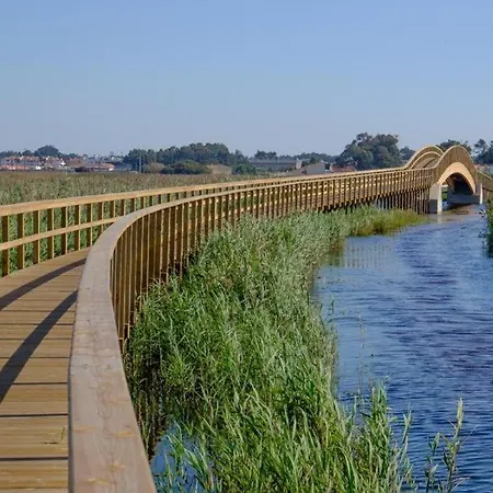 Dom wakacyjny Acolhedora Casa De Ferias T2 Com Espaco Exterior Esmoriz