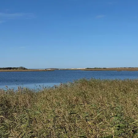 Dom wakacyjny Acolhedora Casa De Ferias T2 Com Espaco Exterior *