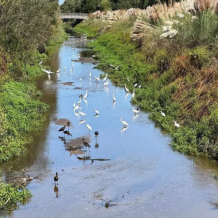 Dom wakacyjny Acolhedora Casa De Ferias T2 Com Espaco Exterior Esmoriz
