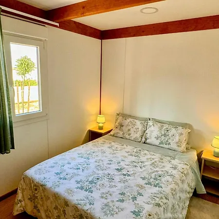 Hébergement de vacances Acolhedora Casa De T2 Com Espaço Exterior Esmoriz