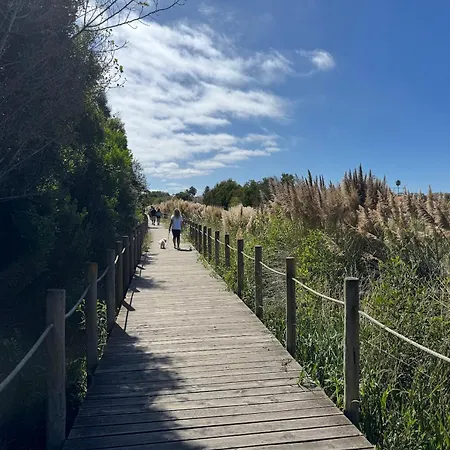 Acolhedora Casa De T2 Com Espaço Exterior