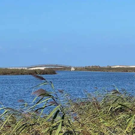 Acolhedora Casa De T2 Com Espaço Exterior *