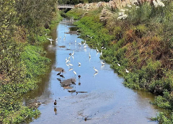 Дом отдыха Acolhedora Casa De Ferias T2 Com Espaco Exterior Эшмориш